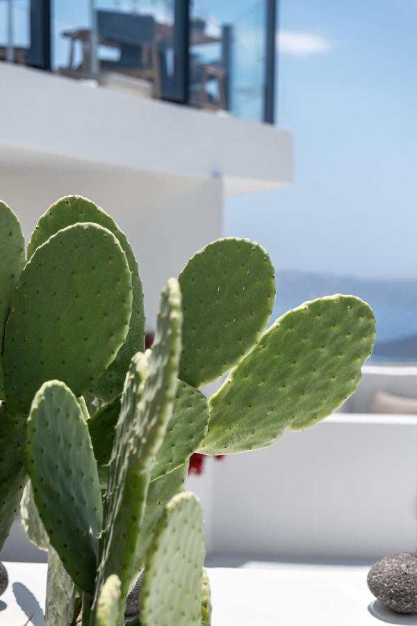 Akra Suites & Spa Imerovígli Buitenkant foto